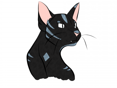 Black cat artwork
