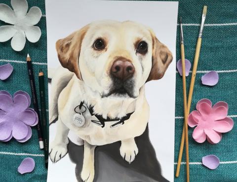 Liv's Pet portraits